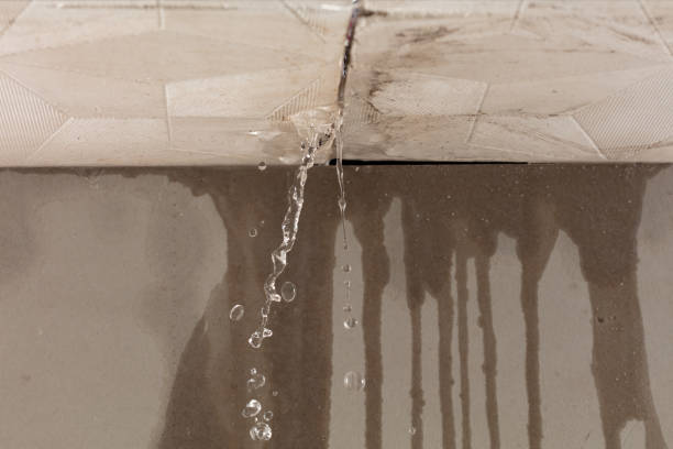Professional Burst Pipe Cleanup technician working in Whitwell, TN